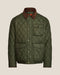 Company Olive